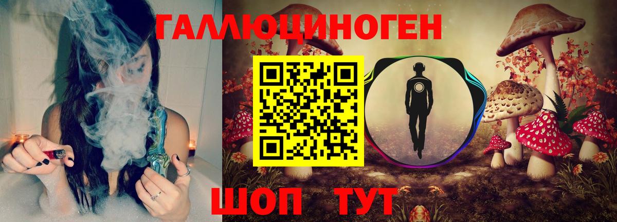 Звенигород  Псилоцибиновые грибы мицелий  Вход с VPN 