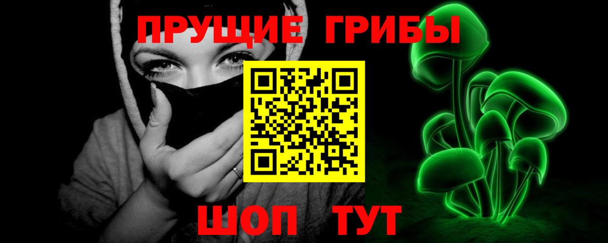 Псилоцибиновые грибы Magic Shrooms Звенигород